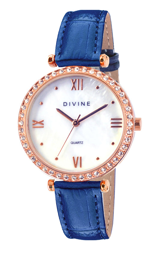 DW1117-3B