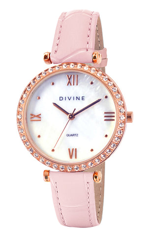 DW1117-3LP