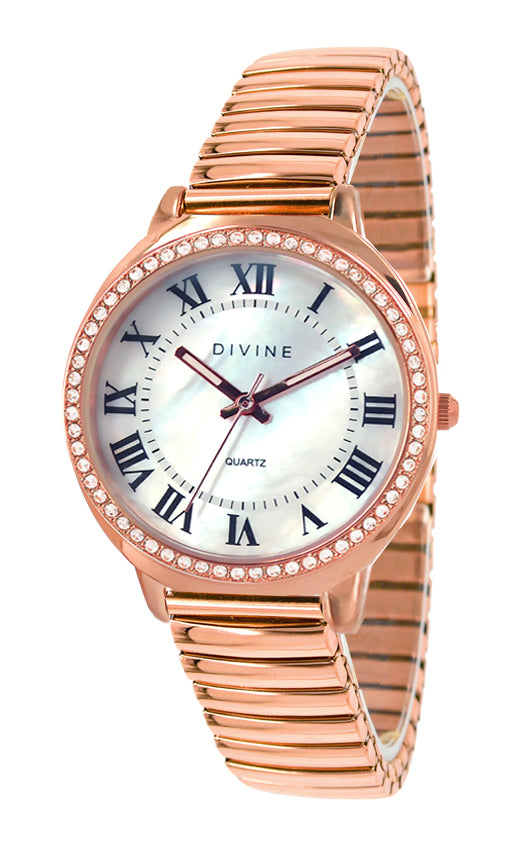 DW1118-3E
