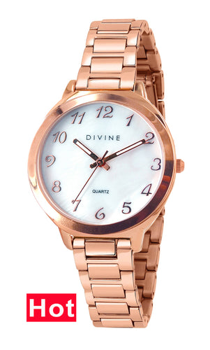 DW1120-3