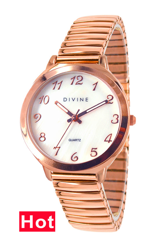 DW1120-3M