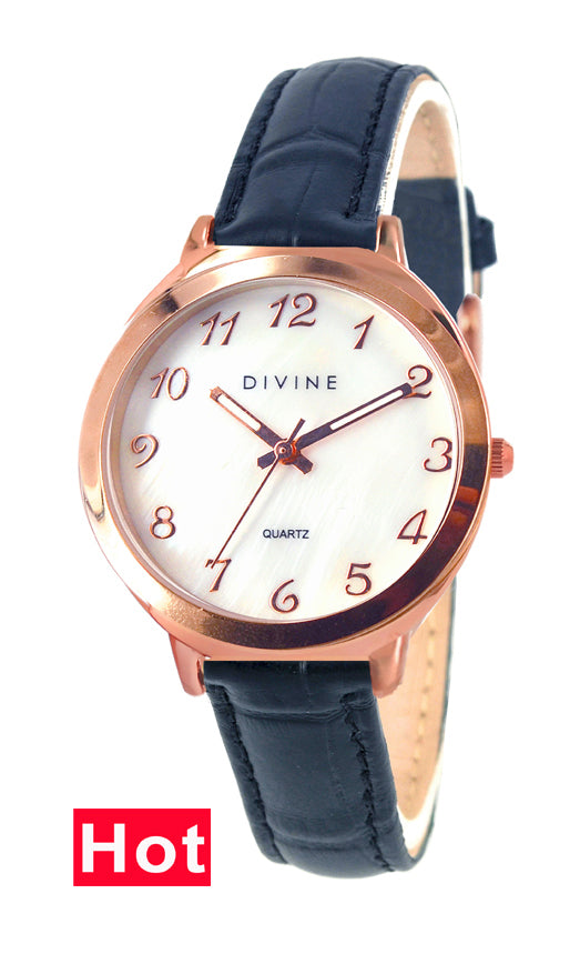 DW1120-3M