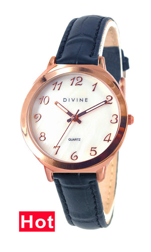 DW1120-3L