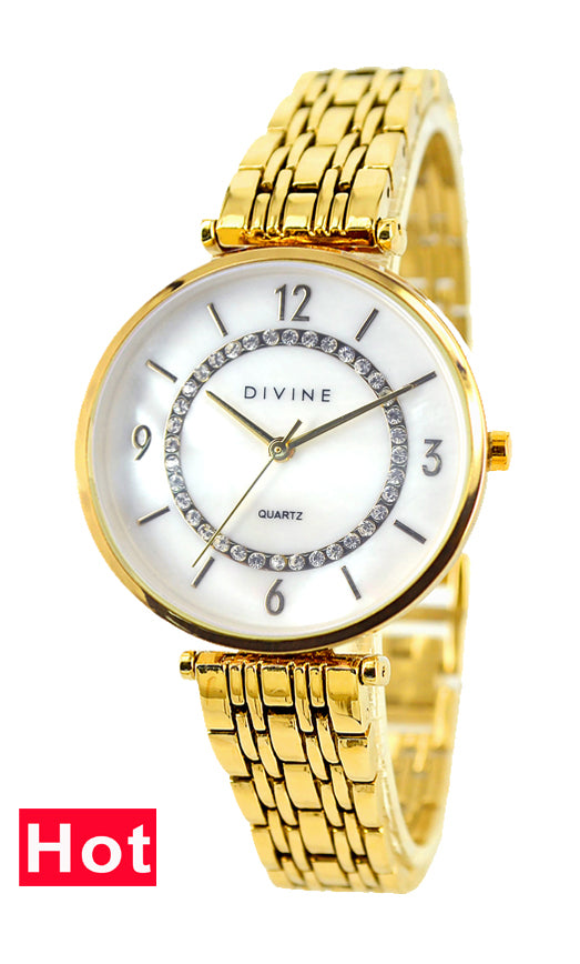 DW1123-2