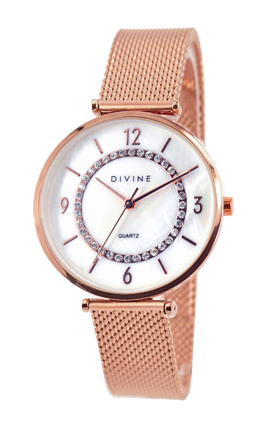 DW1123-3M