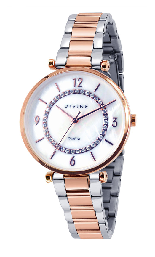 DW1123-5BL