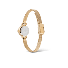 Load image into Gallery viewer, Daniel Wellington Petite Mini Evergold Watch