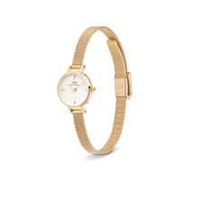 Load image into Gallery viewer, Daniel Wellington Petite Mini Evergold Watch