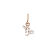 Load image into Gallery viewer, Zodiac Watch Charm Rose Gold