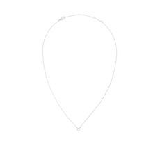 Load image into Gallery viewer, Zodiac Crystal Necklace Silver