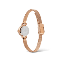 Load image into Gallery viewer, Daniel Wellington Petite Mini Champagne Melrose Watch 19mm