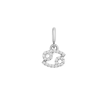 Load image into Gallery viewer, Zodiac Watch Charm Silver