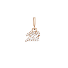 Load image into Gallery viewer, Zodiac Watch Charm Rose Gold