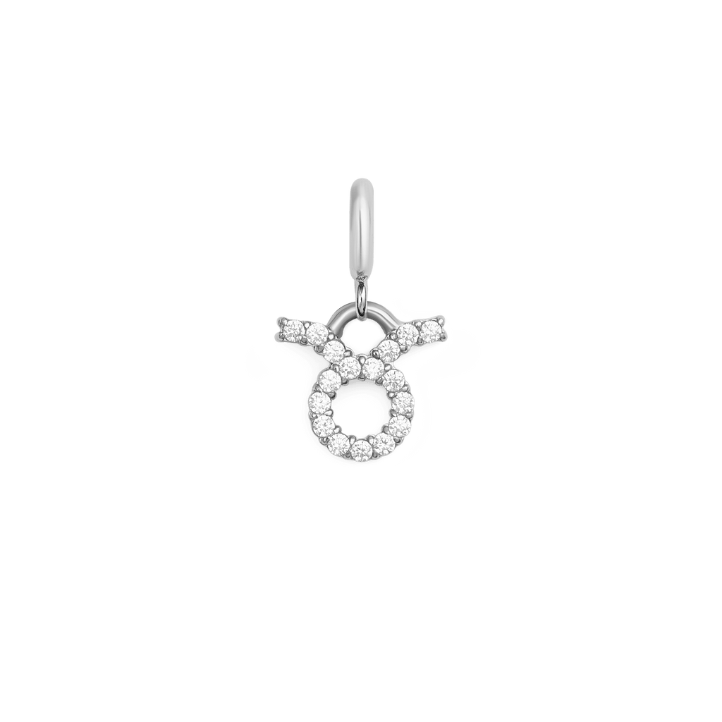 Zodiac Watch Charm Silver