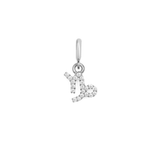 Load image into Gallery viewer, Zodiac Watch Charm Silver