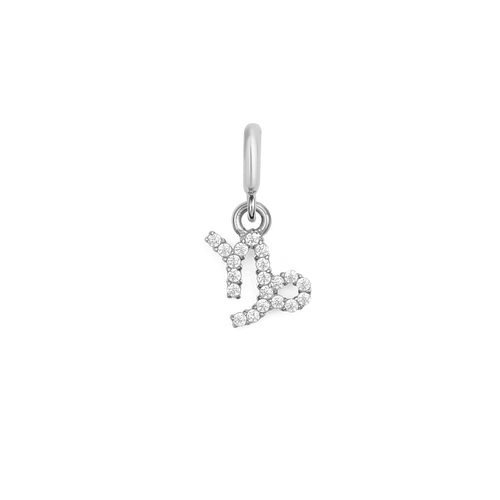 Zodiac Watch Charm Silver