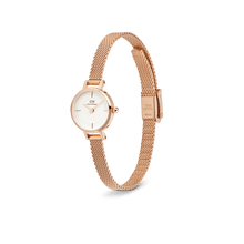 Load image into Gallery viewer, Daniel Wellington Petite Mini Melrose Watch