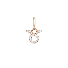 Load image into Gallery viewer, Zodiac Watch Charm Rose Gold