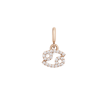 Load image into Gallery viewer, Zodiac Watch Charm Rose Gold