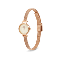 Load image into Gallery viewer, Daniel Wellington Petite Mini Champagne Melrose Watch 19mm