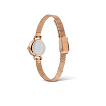 Load image into Gallery viewer, Daniel Wellington Petite Mini Melrose Watch