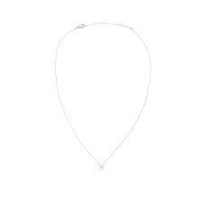 Load image into Gallery viewer, Zodiac Crystal Necklace Silver