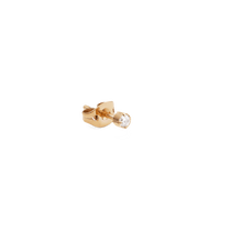 Load image into Gallery viewer, Daniel Wellington Crystal Stud Gold