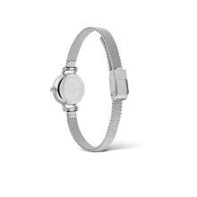 Load image into Gallery viewer, Daniel Wellington Petite Mini Sterling Watch