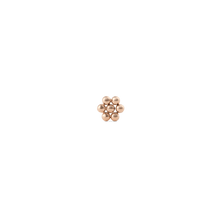 Load image into Gallery viewer, Daniel Wellington Flower Stud Rose Gold