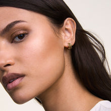 Load image into Gallery viewer, 5-Link Earrings Gold