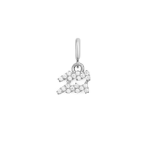 Load image into Gallery viewer, Zodiac Watch Charm Silver