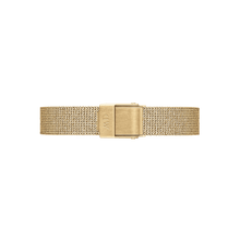 Load image into Gallery viewer, Quadro/Petite 10 Pressed Evergold Gold Watch Band