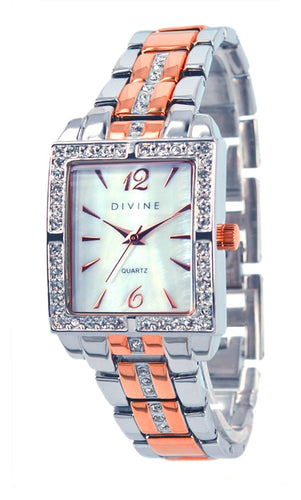 DW1093-5