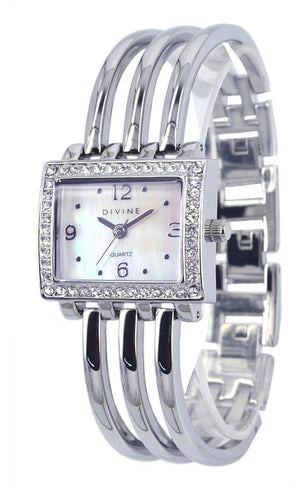 DW1098-1