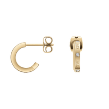 Load image into Gallery viewer, Classic Lumine Earrings Gold