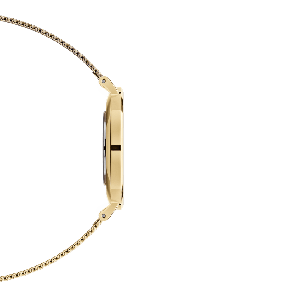 Petite 36 Evergold Gold & White Watch