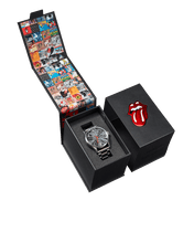 Load image into Gallery viewer, Rolling Stones Sentry Stainless Steel : A1353-625
