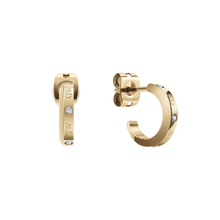 Load image into Gallery viewer, Classic Lumine Earrings Gold