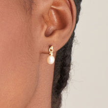 Load image into Gallery viewer, Ania Haie Gold Pearl Drop Stud Earrings