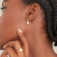 Load image into Gallery viewer, Ania Haie Gold Pearl Drop Stud Earrings