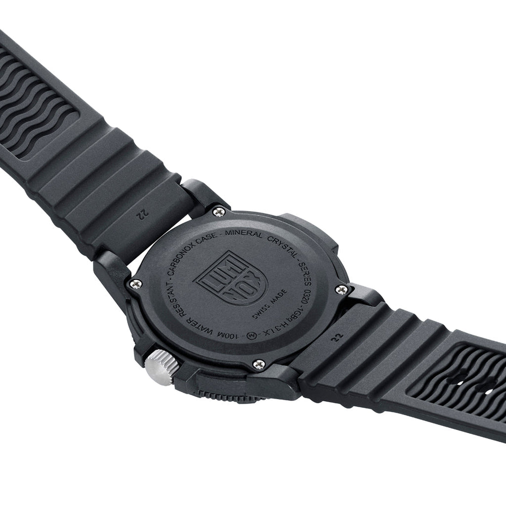 Leatherback Sea Turtle Watch - 0324