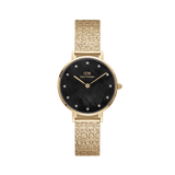 Daniel Wellington Petite 28 Lumine Gold Mother of Pearl Black Watch