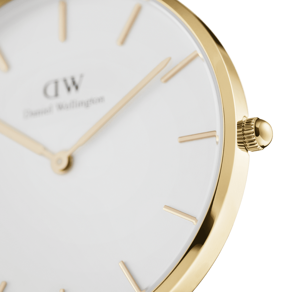 Petite 36 Evergold Gold & White Watch