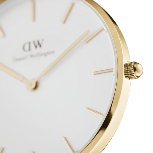 Petite 36 Evergold Gold & White Watch